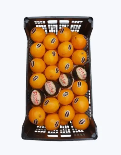 [1000040] Naranja de zumo 11kg (unidad)