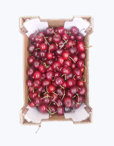 [1000123] Cereza