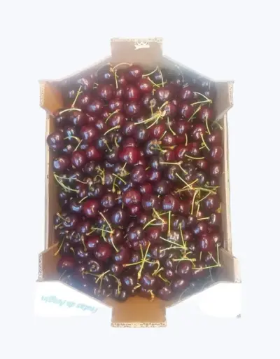 [1000129] Cereza granel