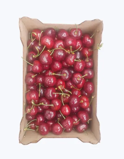 [1000131] Cereza super extra