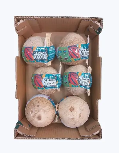 [1000259] Coco de agua bio