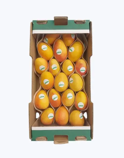 [1000352] Mango de chupar
