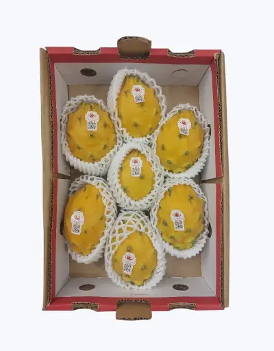 [1000407] Pitahaya amarilla
