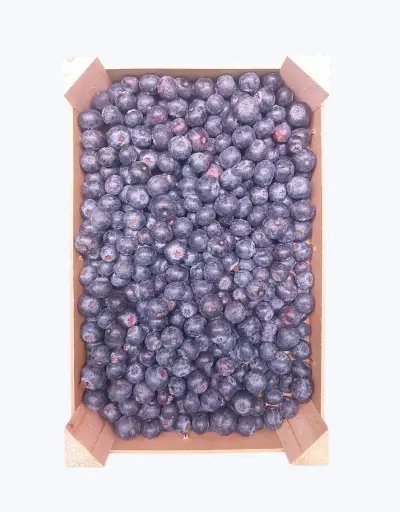 [1000451] Arandanos azules granel