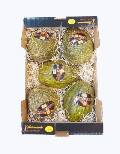 [1000547] Melon piel de sapo