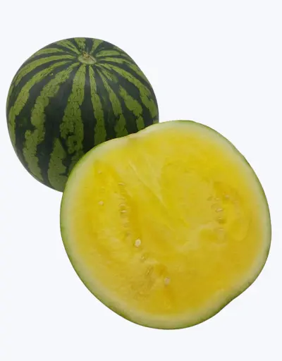 [1000555] Sandia amarilla (1/2 unidad)