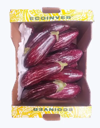 [1000634] Berenjena morada