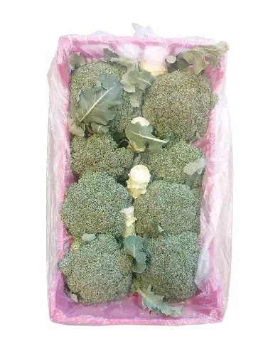 [1000646] Brocoli