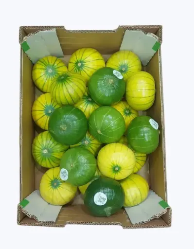 [1000668] Calabacin zapallo argentino
