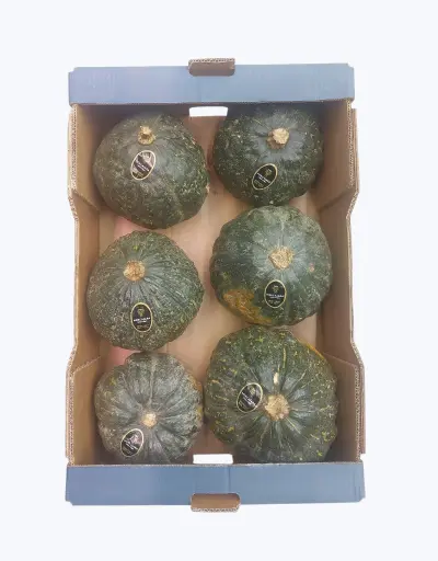[1000688] Calabaza japonesa Kabocha