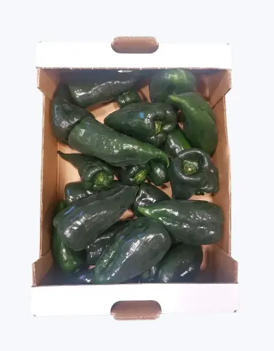 [1000717] Chile poblano
