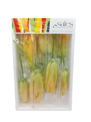 [1000781] Flor de calabacin x 10