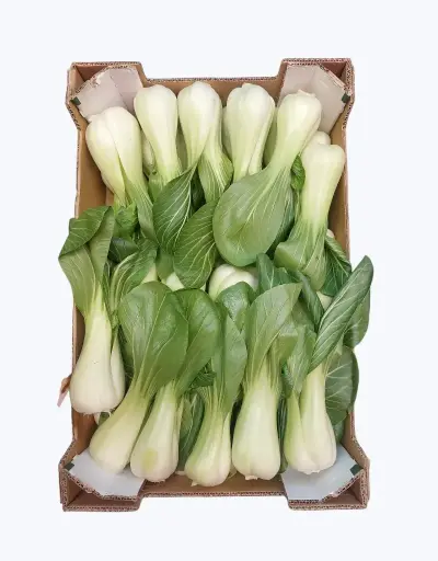 [1000842] Pak choi