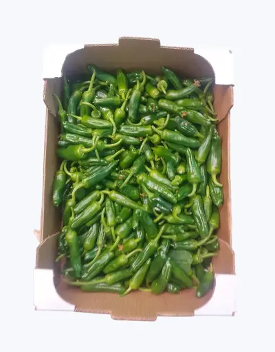 [1000870] Pimiento de padron