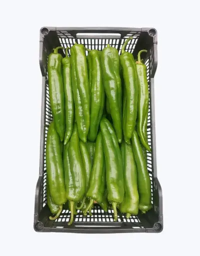 [1000876] Pimiento italiano verde