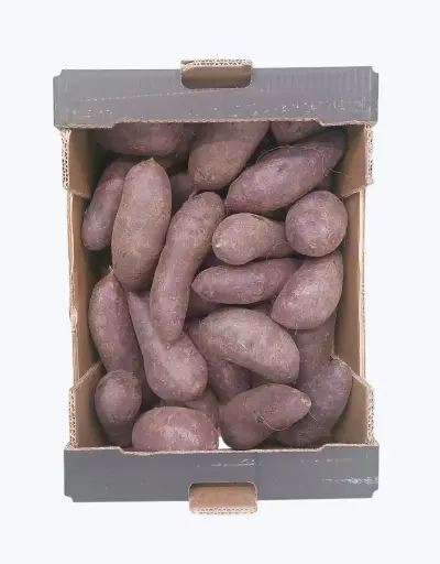 [1000973] Batata morada