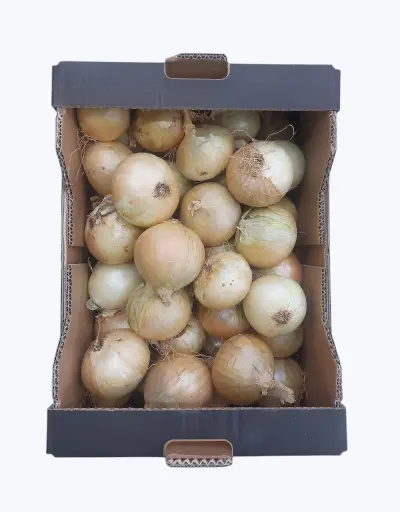 [1001001] Cebolla nueva