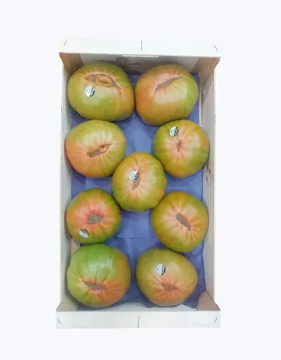 [1001227] Tomate de navarra