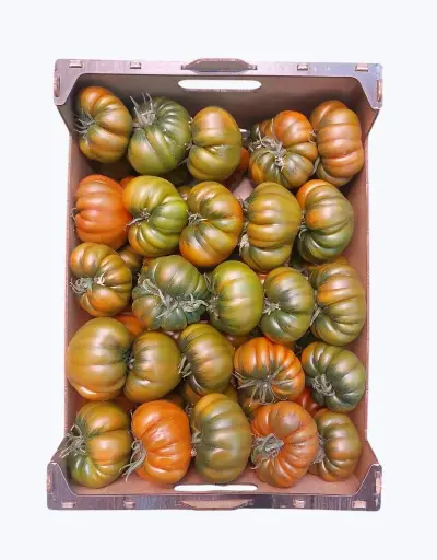 [1001267] Tomate joselito xxl